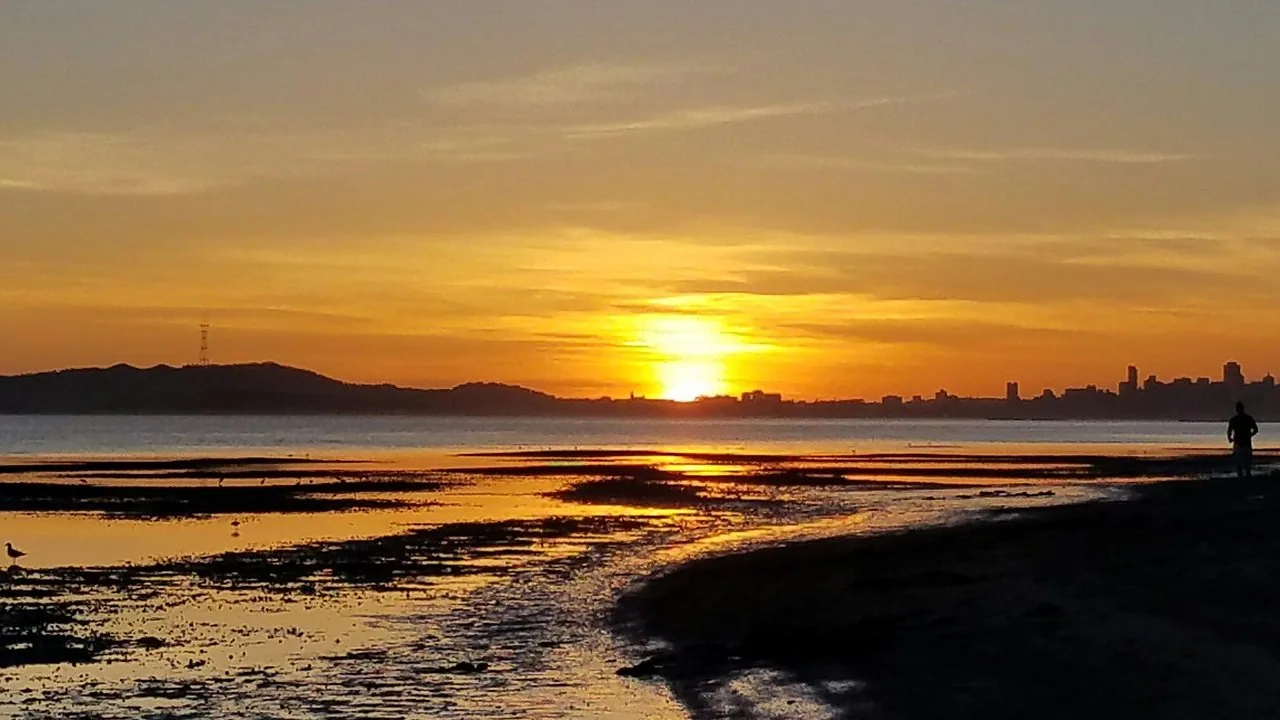 Alameda in San Mateo, CA