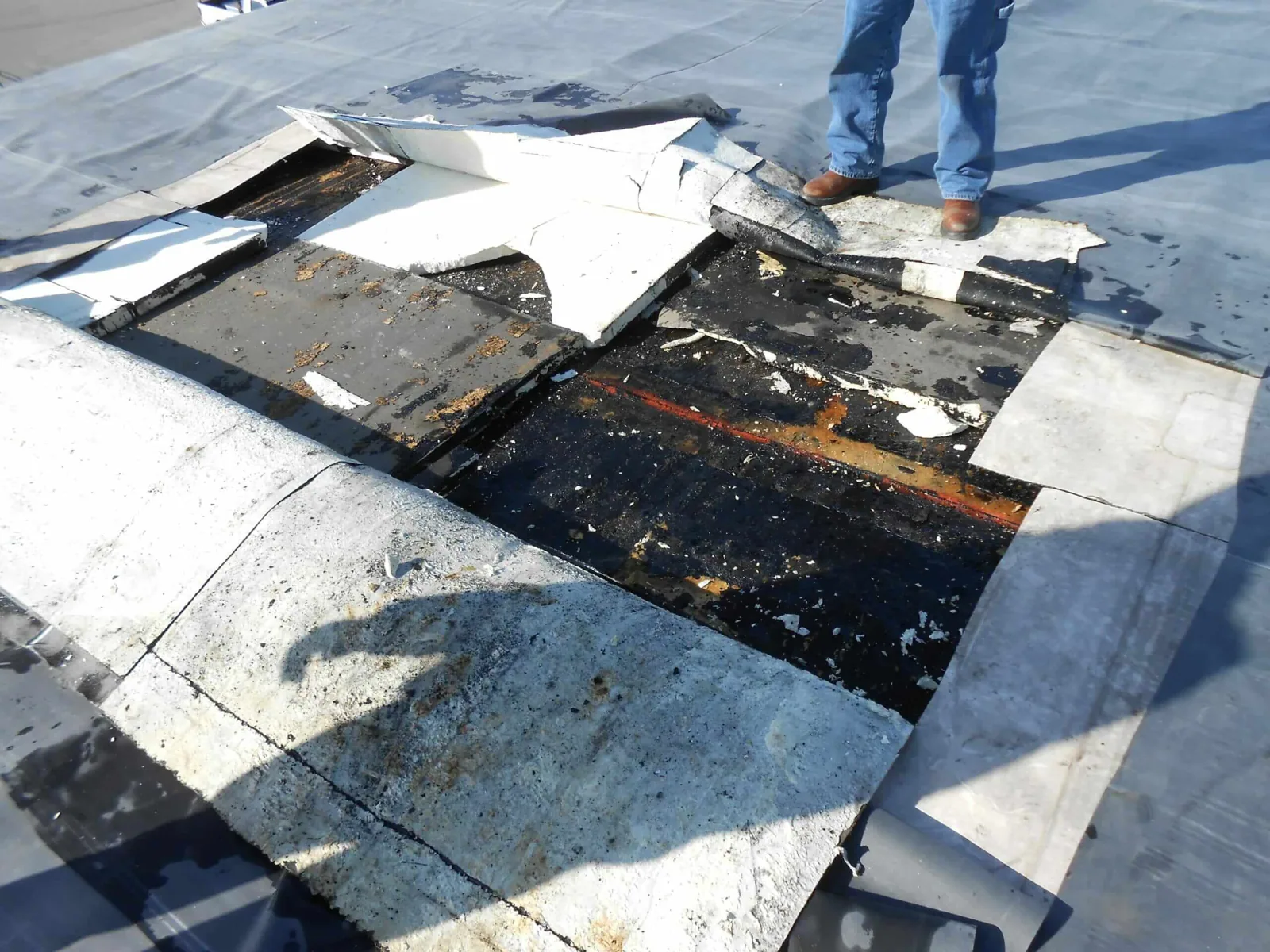 Storm Damage Roof Repair in San Mateo, CA